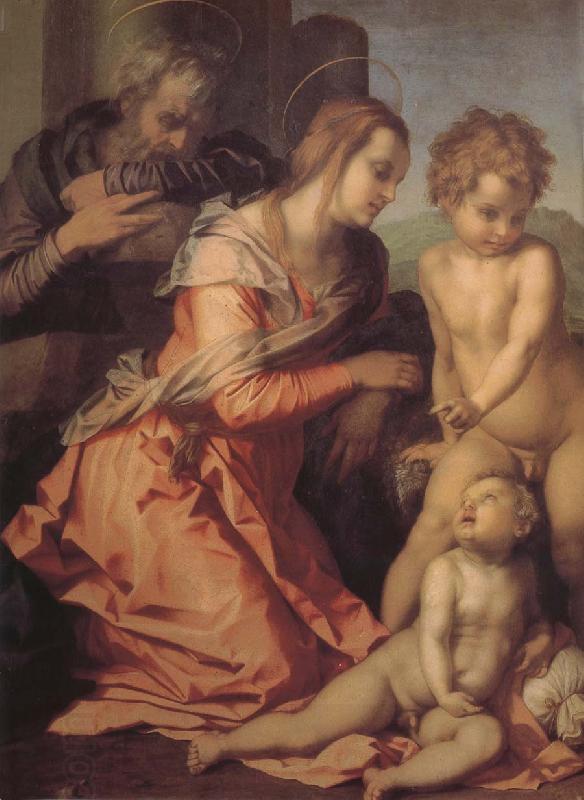 Andrea del Sarto Holy family China oil painting art